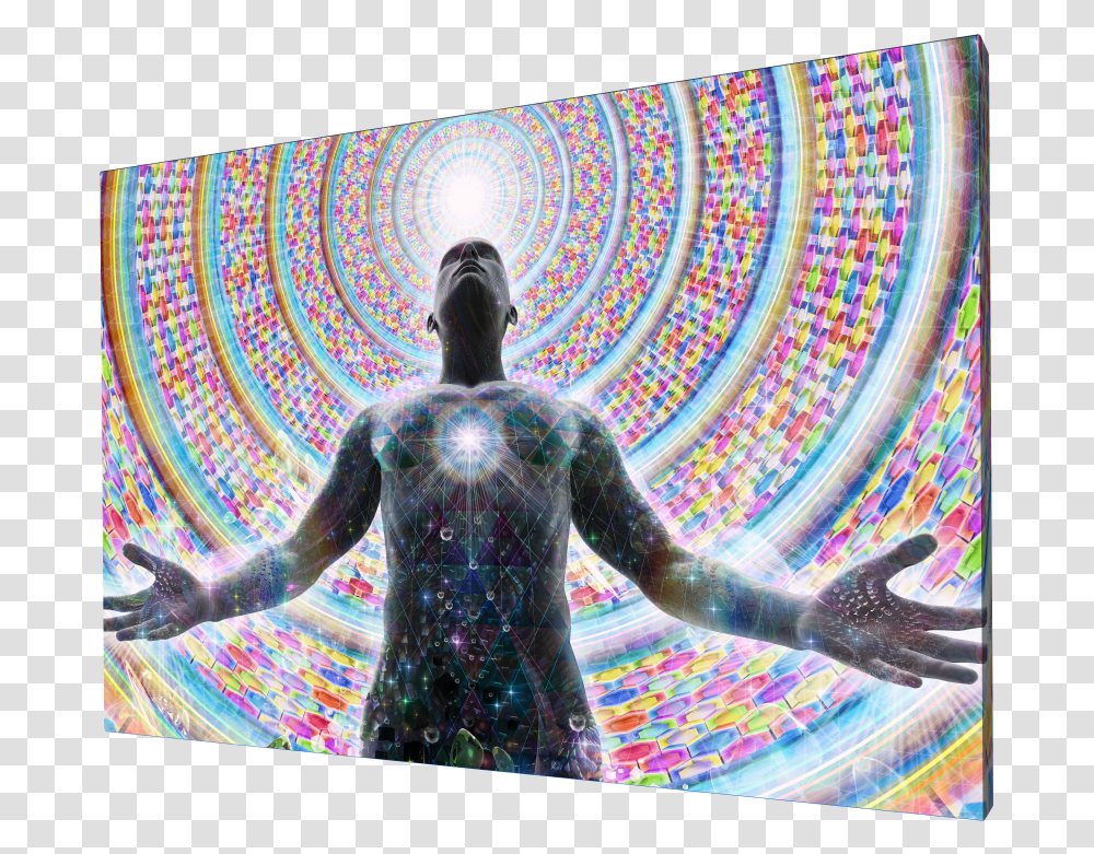Dmt Statue, Person, Back, Water Transparent Png