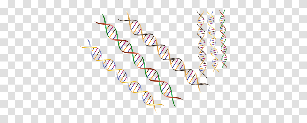 Dna Technology, Accessories, Accessory, Crowd Transparent Png
