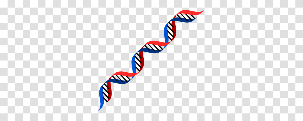 Dna Person, Light, Kite, Toy Transparent Png