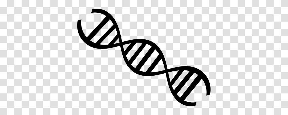 Dna Gray, World Of Warcraft Transparent Png