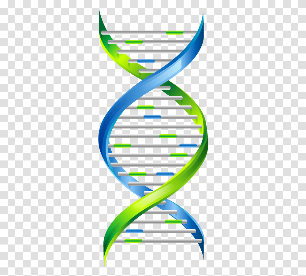 Dna Background Dna Strand, Label, Text, Staircase, Sphere Transparent Png