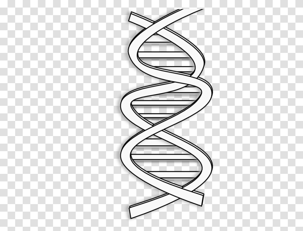 Dna Black And White Clipart, Spiral, Coil, Dynamite, Bomb Transparent Png