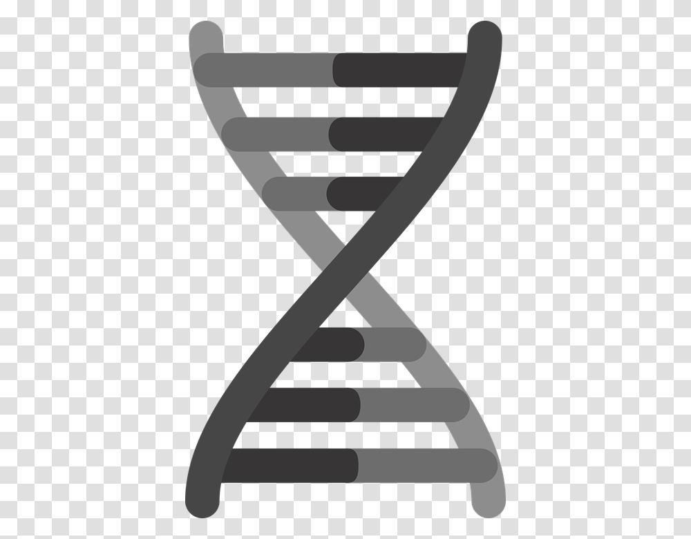 Dna, Chair, Furniture Transparent Png