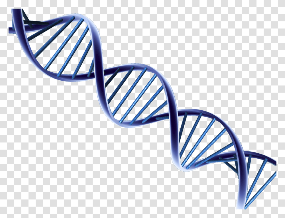 Dna, Chair, Furniture, Mixer, Appliance Transparent Png