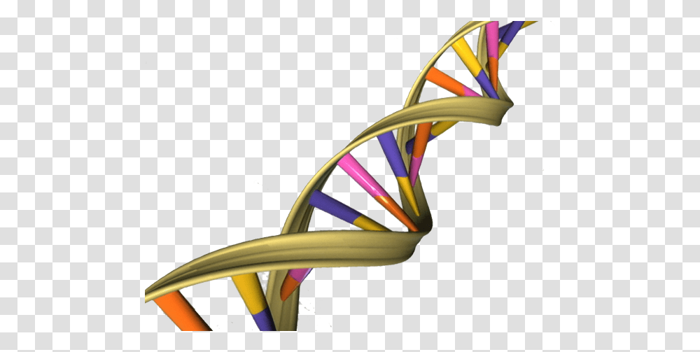 Dna, Chair, Furniture, Racket Transparent Png