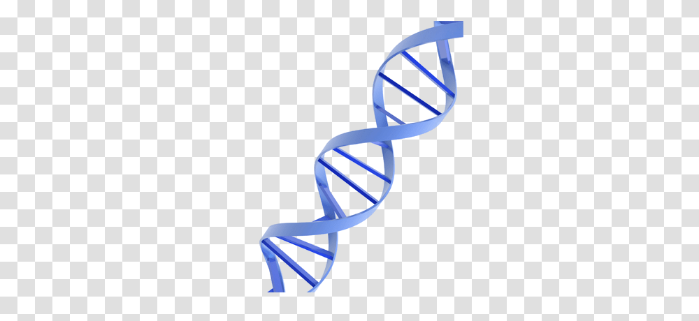 Dna, Chair, Furniture, Toy, Scissors Transparent Png