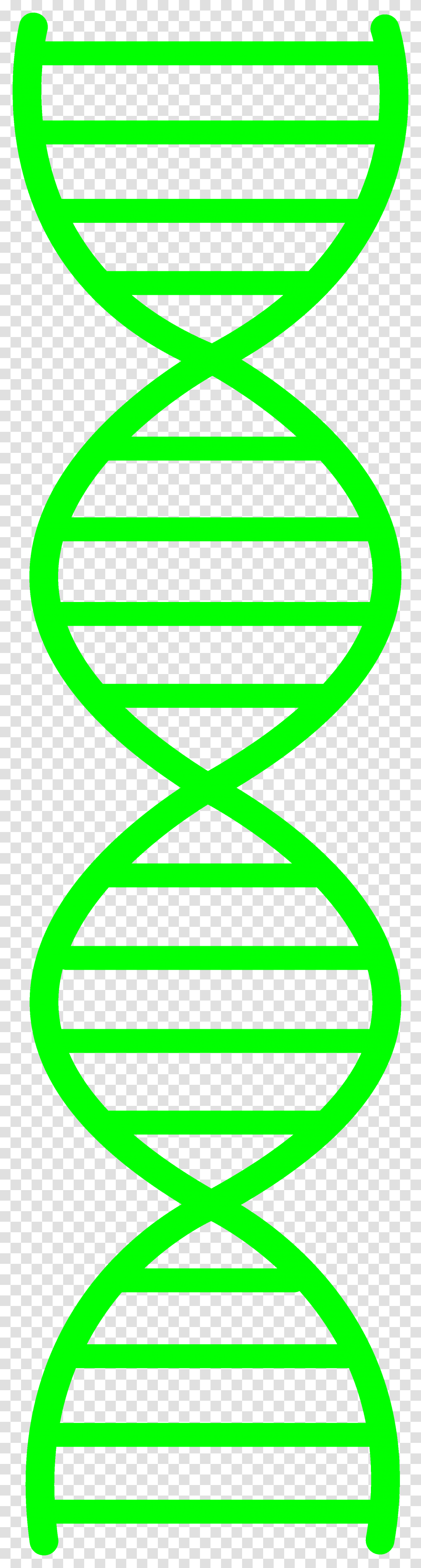 Dna Clip Art, Hourglass Transparent Png