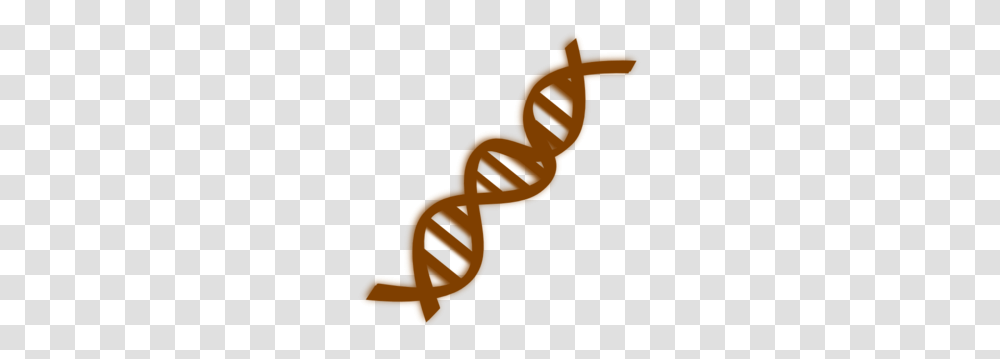 Dna Clip Art, Person, Sweets, Food, Animal Transparent Png