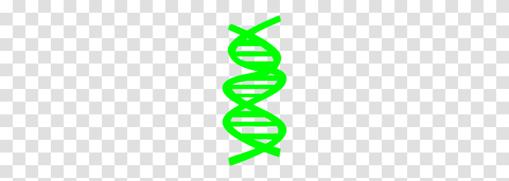 Dna Clip Art, Logo, Trademark Transparent Png