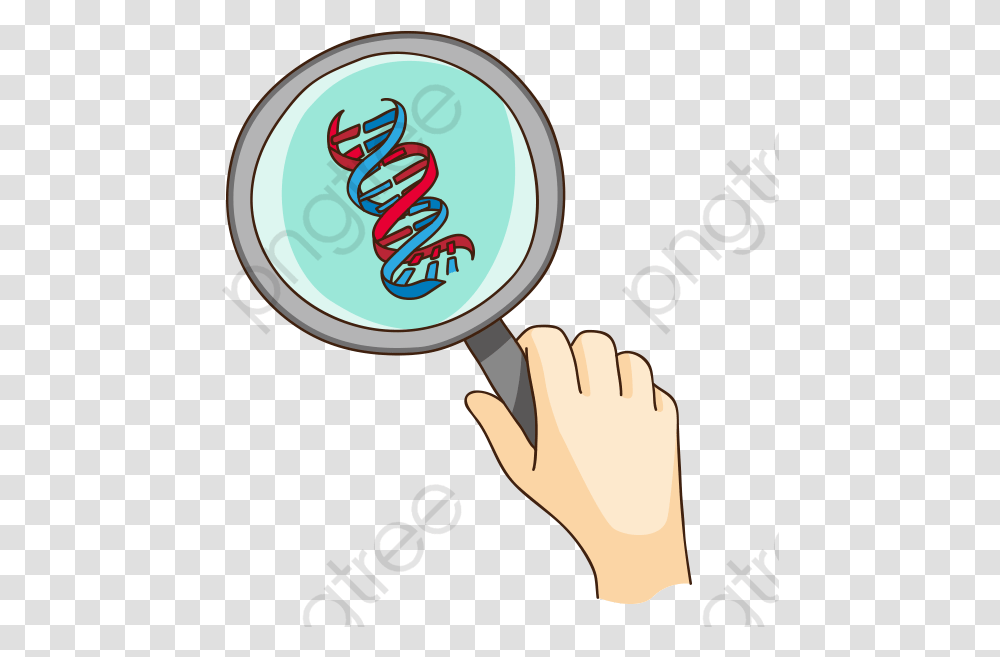 Dna Clipart, Magnifying Transparent Png