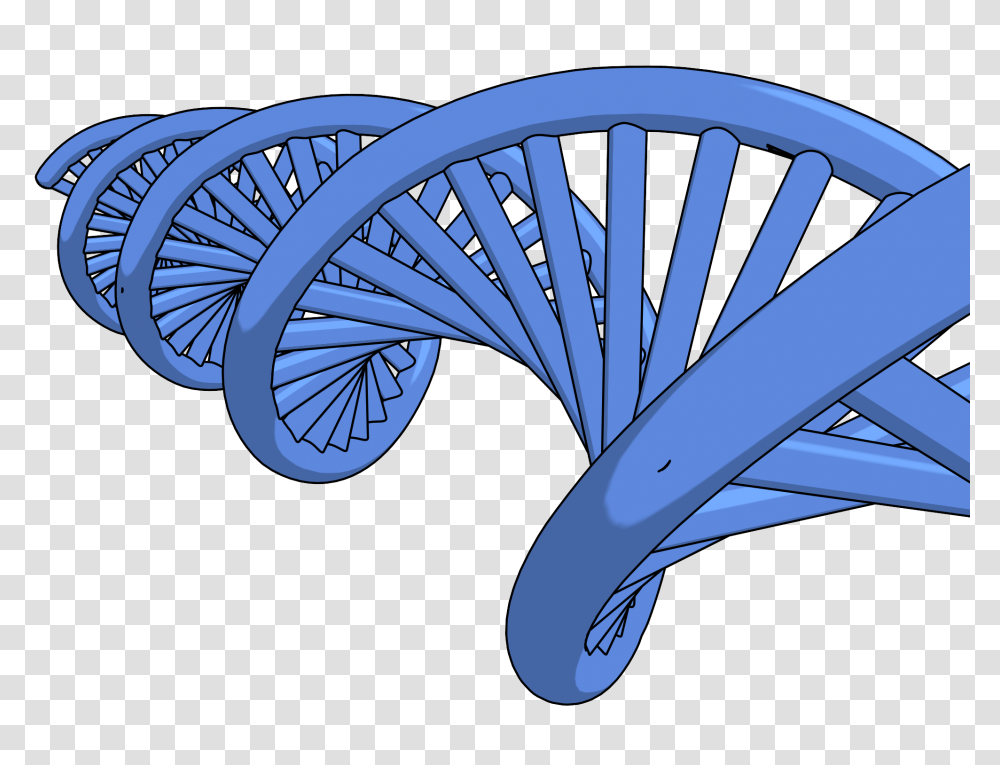 Dna Clipart Picture, Pattern, Spiral, Network Transparent Png