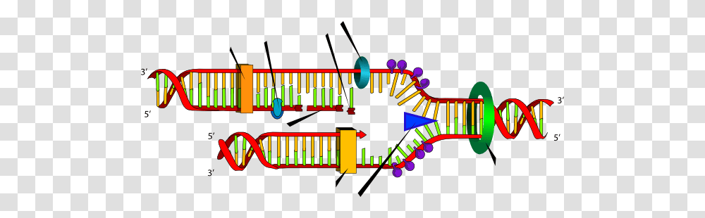 Dna Cliparts, Light, Alphabet, Lighting Transparent Png