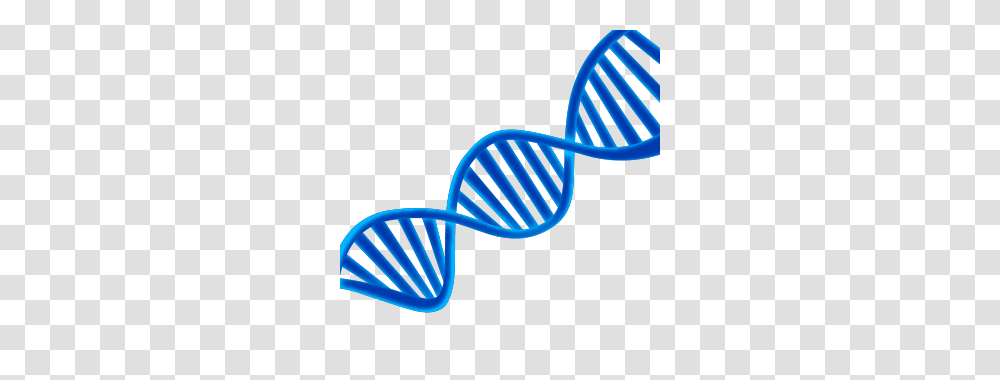 Dna, Mixer, Swimwear, Chair Transparent Png