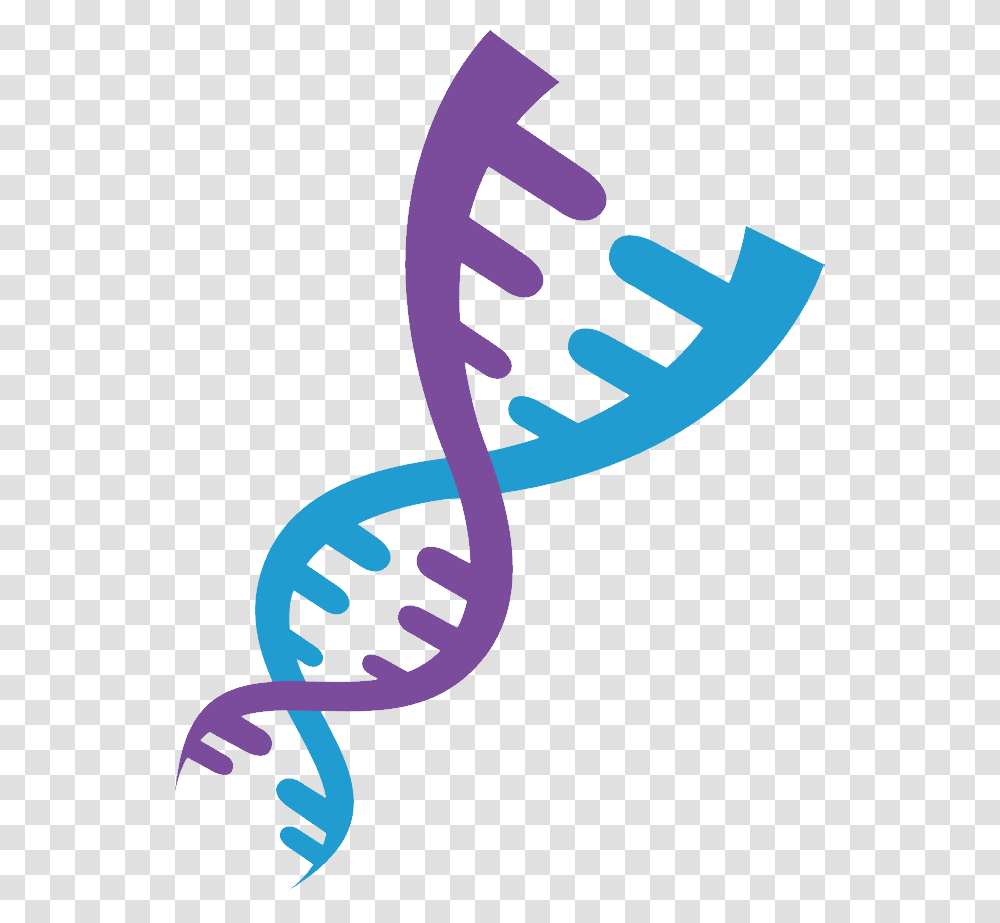 Dna, Cutlery, Teeth Transparent Png