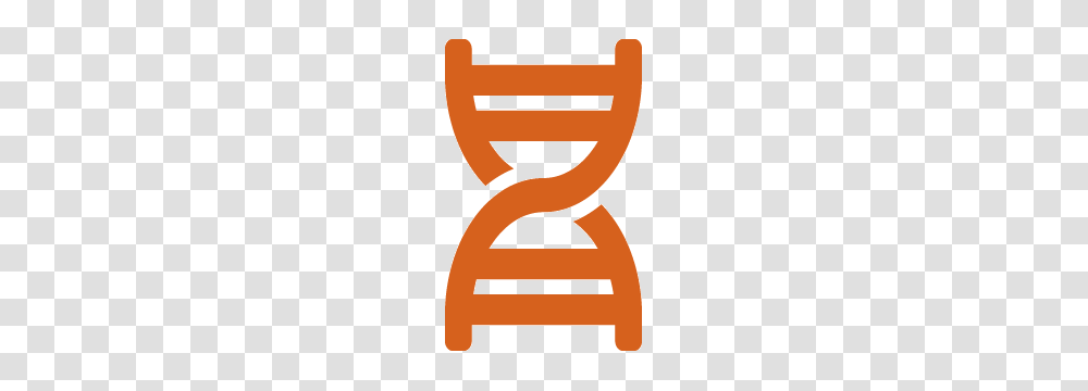 Dna Database Saliva, Furniture, Chair, Rocking Chair, White Transparent Png