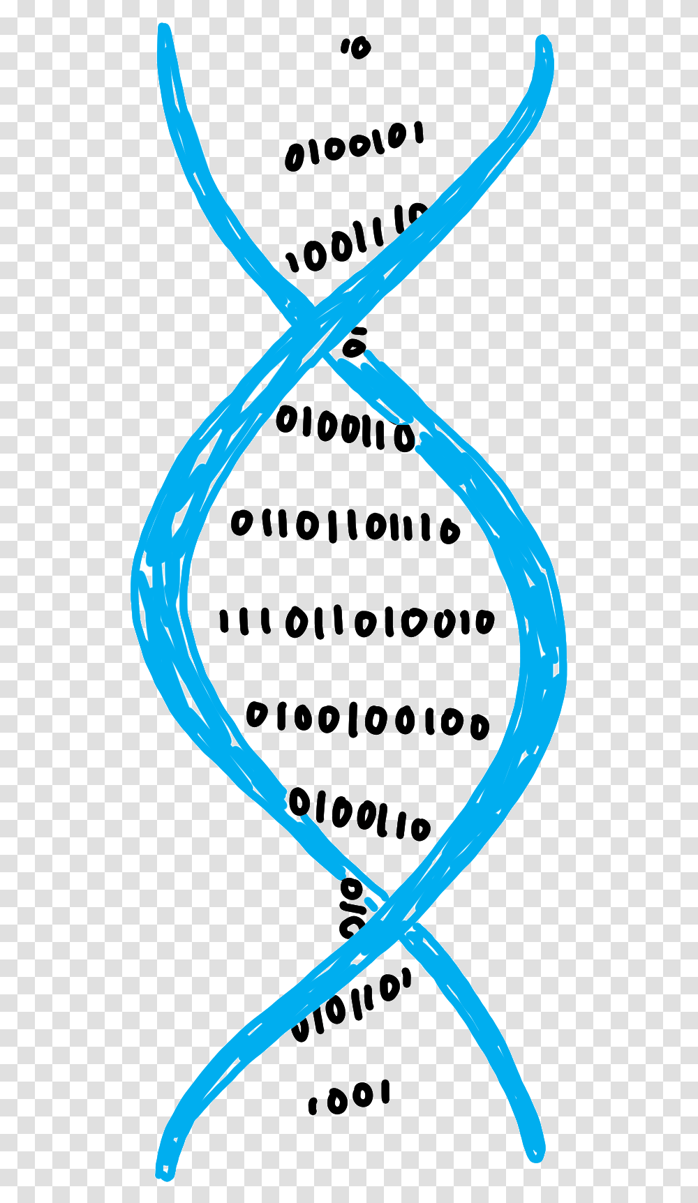 Dna Dna Animation Gif, Horseshoe Transparent Png