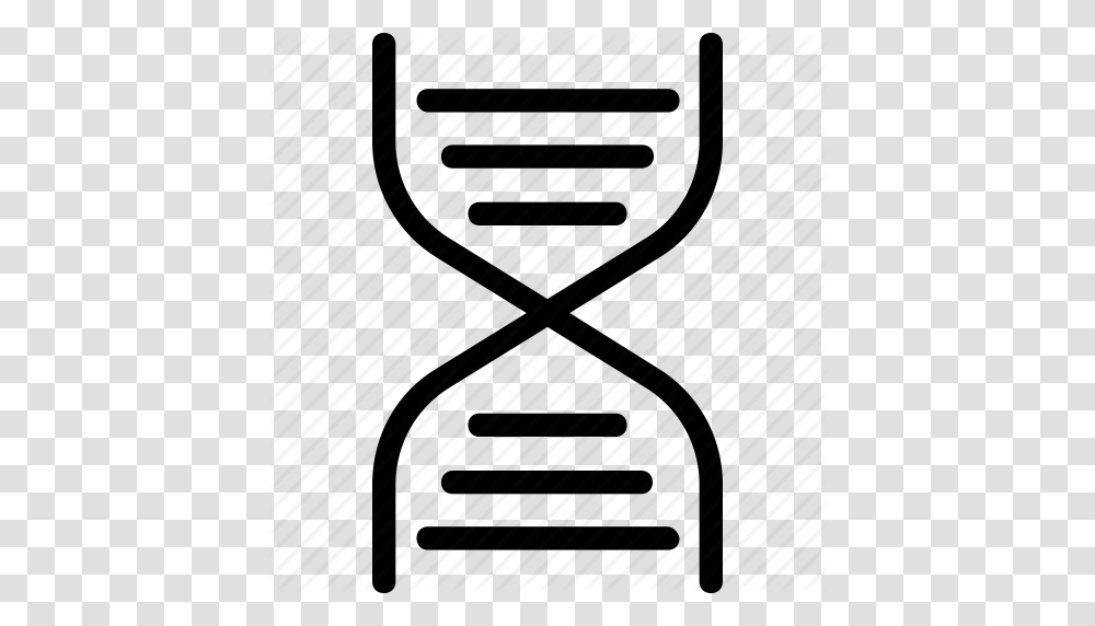 Dna Dna Chain Dna Helix Dna Strand Genetics Icon, Hourglass, Piano, Leisure Activities, Musical Instrument Transparent Png