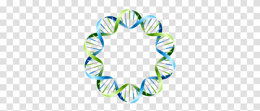 Dna Dna Circles, Text, Graphics, Art, Bracelet Transparent Png