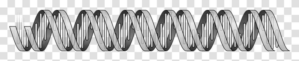 Dna Double Helix Genome Human Biology Life Dna Double Helix Free, Word, Sign Transparent Png