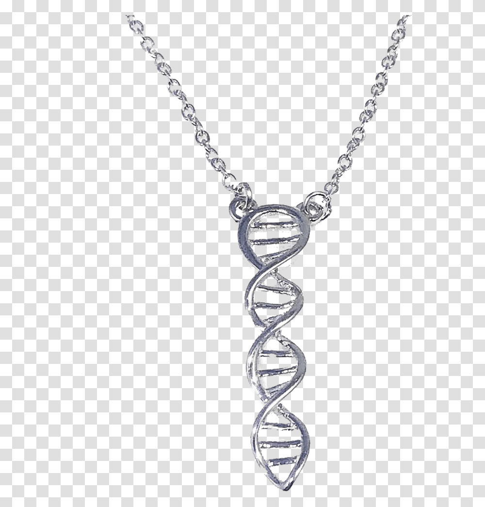 Dna Double Helix Necklace Necklace, Jewelry, Accessories, Accessory, Locket Transparent Png