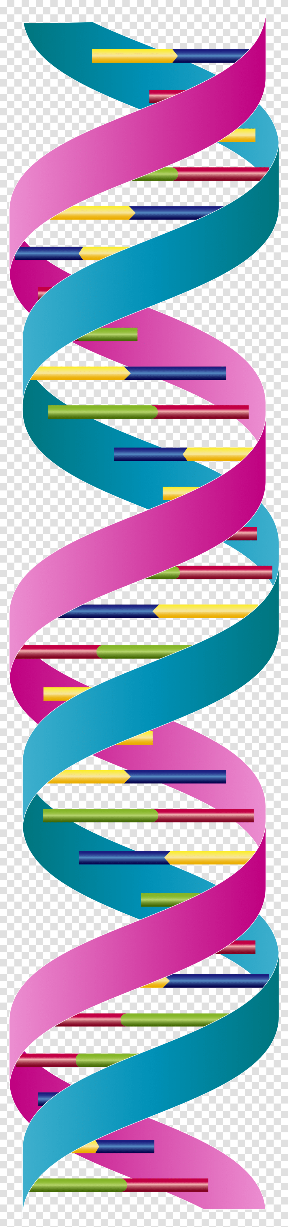 Dna Double Strand, Accessories, Accessory Transparent Png