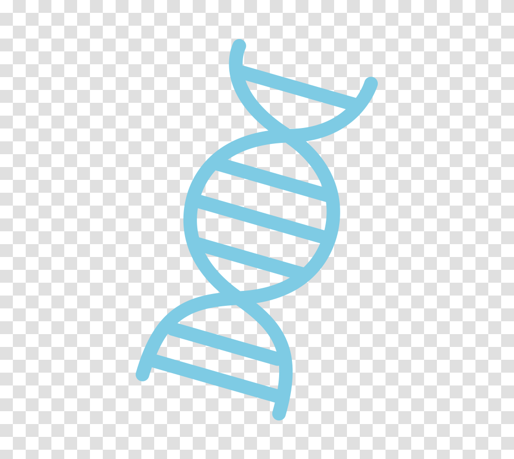 Dna, Dynamite, Bomb, Weapon, Weaponry Transparent Png