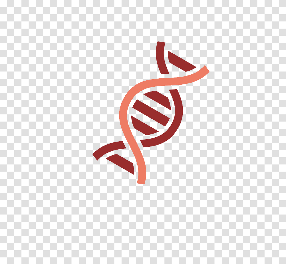 Dna, Dynamite, Logo Transparent Png