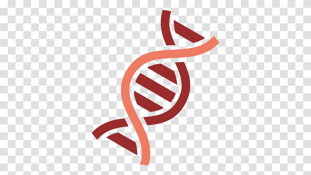 Dna Gene, Dynamite, Bomb, Weapon, Weaponry Transparent Png