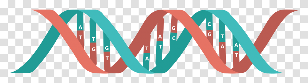 Dna Genetics Clipart Dna Clipart, Face, Hand, Word Transparent Png