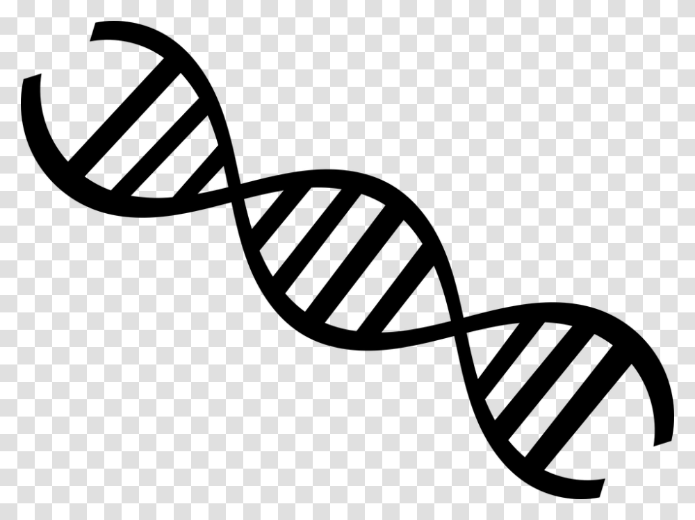 Dna, Gray, World Of Warcraft Transparent Png