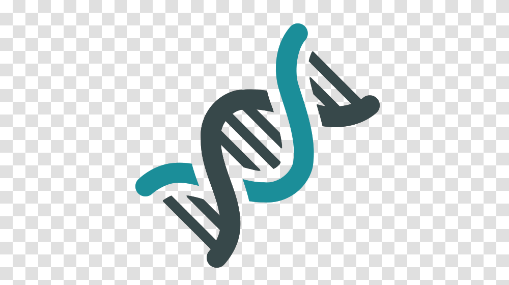 Dna, Hammer, Tool, Animal, Reptile Transparent Png