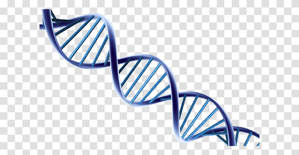 Dna Helix Clipart, Chair, Furniture, Bench Transparent Png