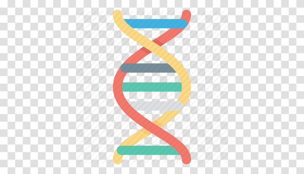 Dna Helix Clipart Free Download Clip Art, Knot, Rope, Heart Transparent Png