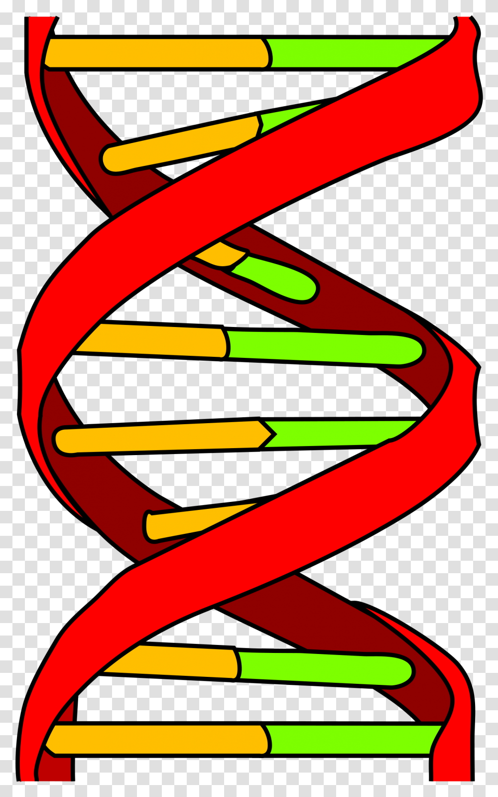 Dna Icon Clipart Download Dna Memes, Dynamite, Weapon Transparent Png