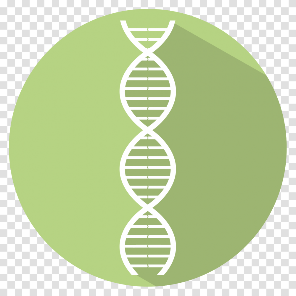 Dna Icon Green, Tennis Ball, Sport, Sports Transparent Png