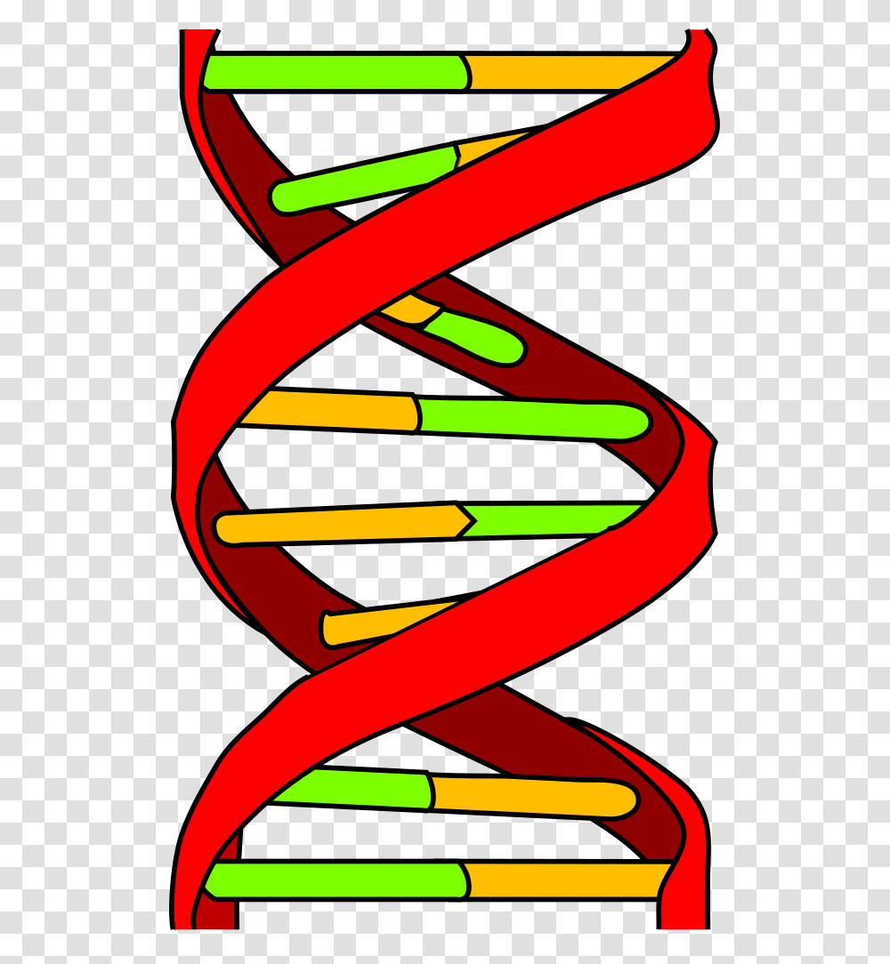 Dna Icon, Light, Dynamite, Bomb, Weapon Transparent Png