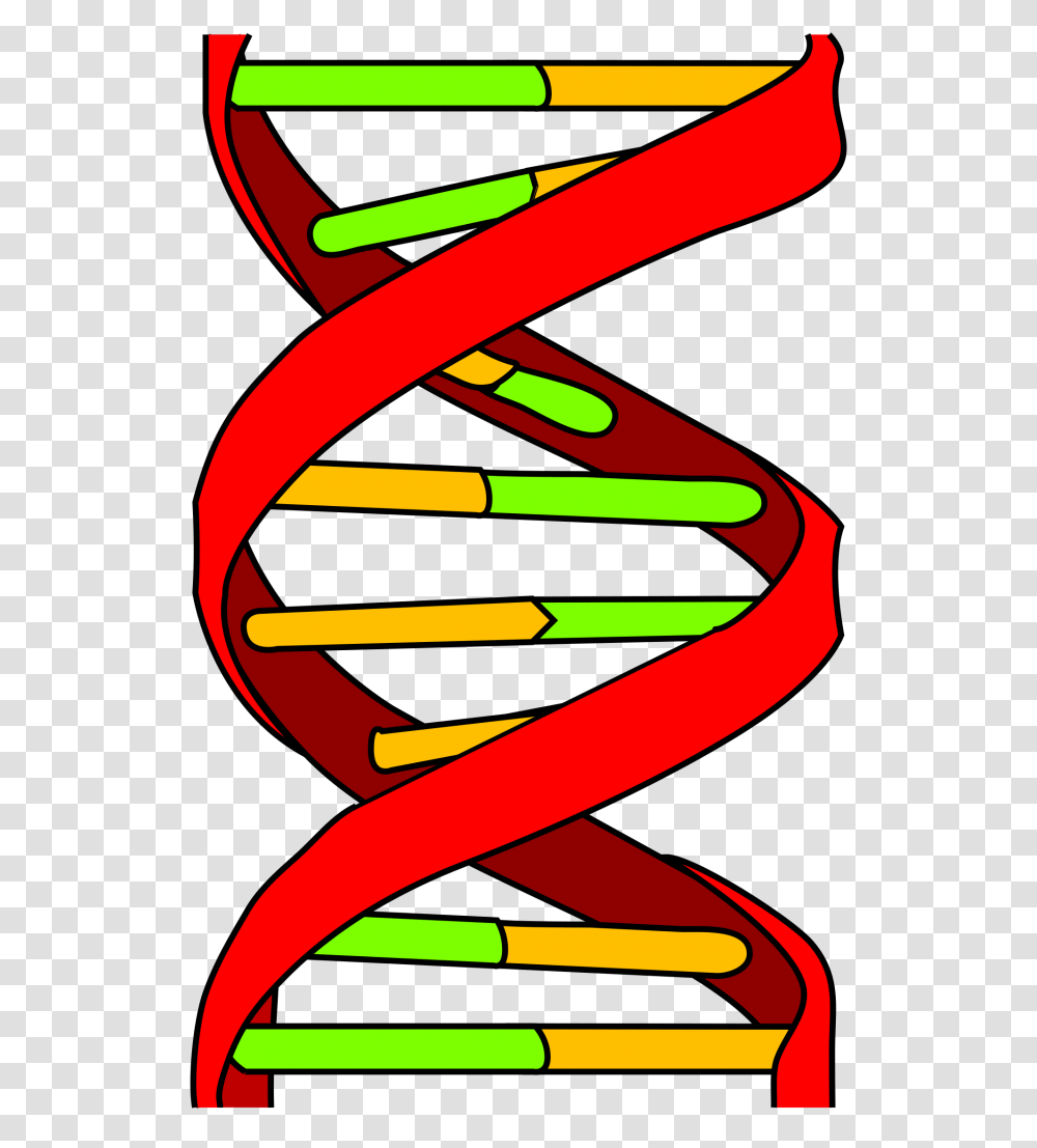 Dna Icon, Light, Dynamite, Bomb, Weapon Transparent Png