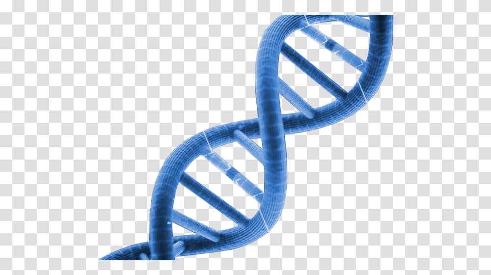 Dna, Light, Chair, Furniture, Neon Transparent Png