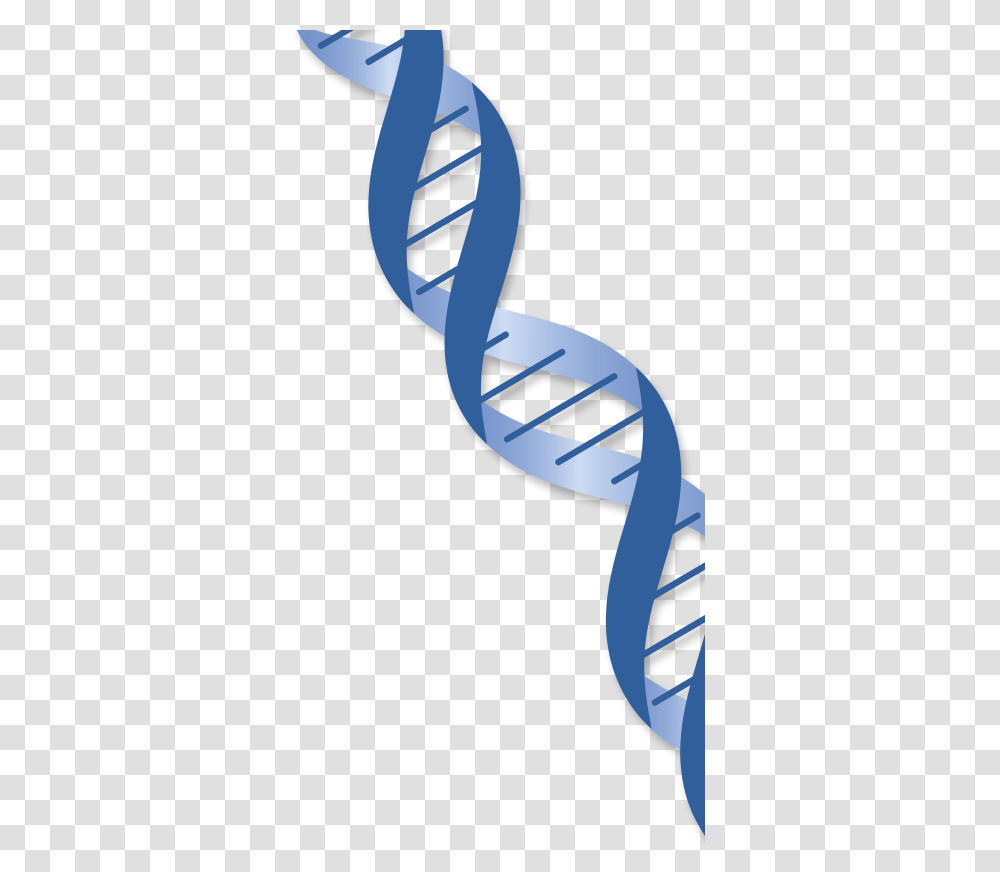 Dna Long Strand Gene Background, Sport, Sports, Chair Transparent Png