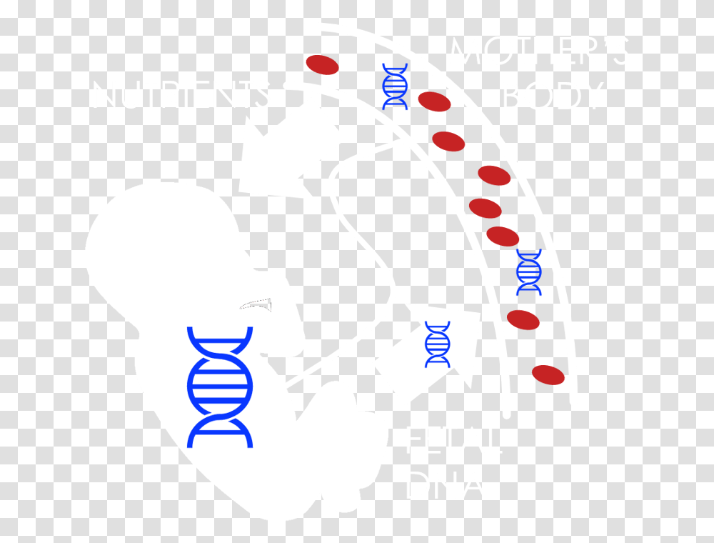 Dna Mother And Father, Hand, Person, Human, Poster Transparent Png