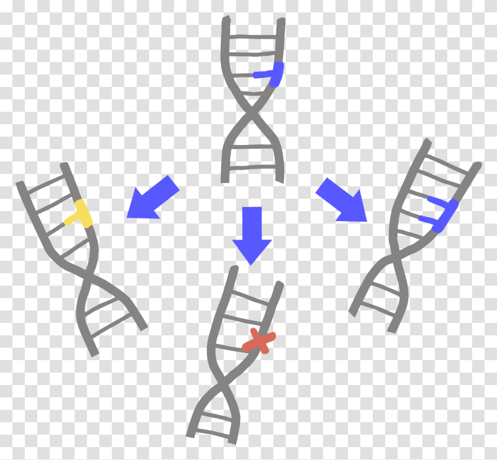 Dna Mutation, Tie, Accessories, Accessory, Crystal Transparent Png