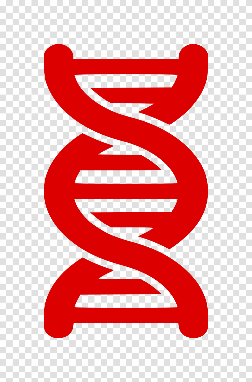 Dna, Number, Alphabet Transparent Png