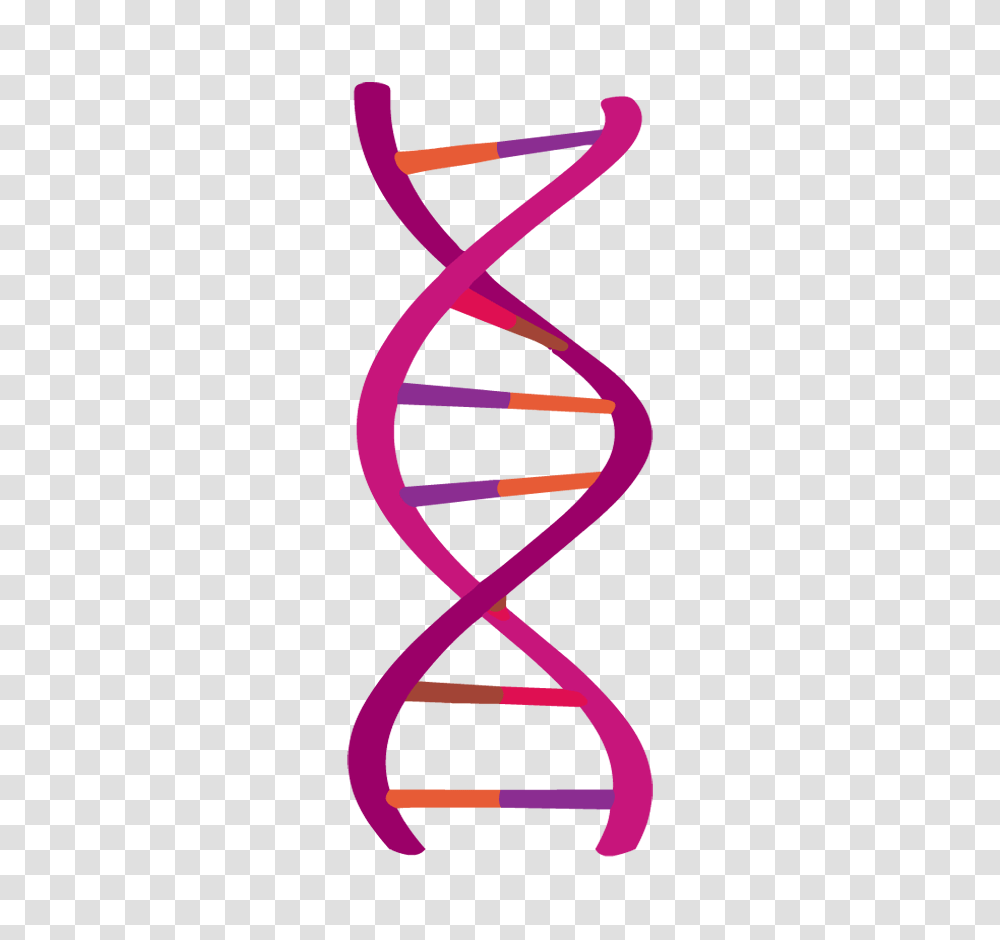 Dna, Paper, Towel, Paper Towel, Tissue Transparent Png