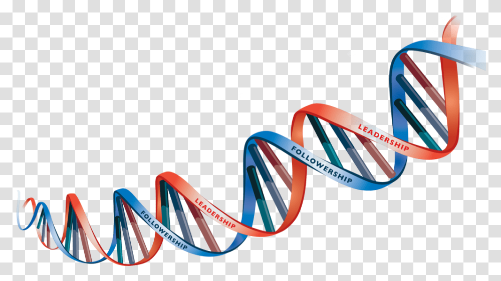 Dna Picture Dna Strand Background, Chair, Furniture, Bicycle, Vehicle Transparent Png