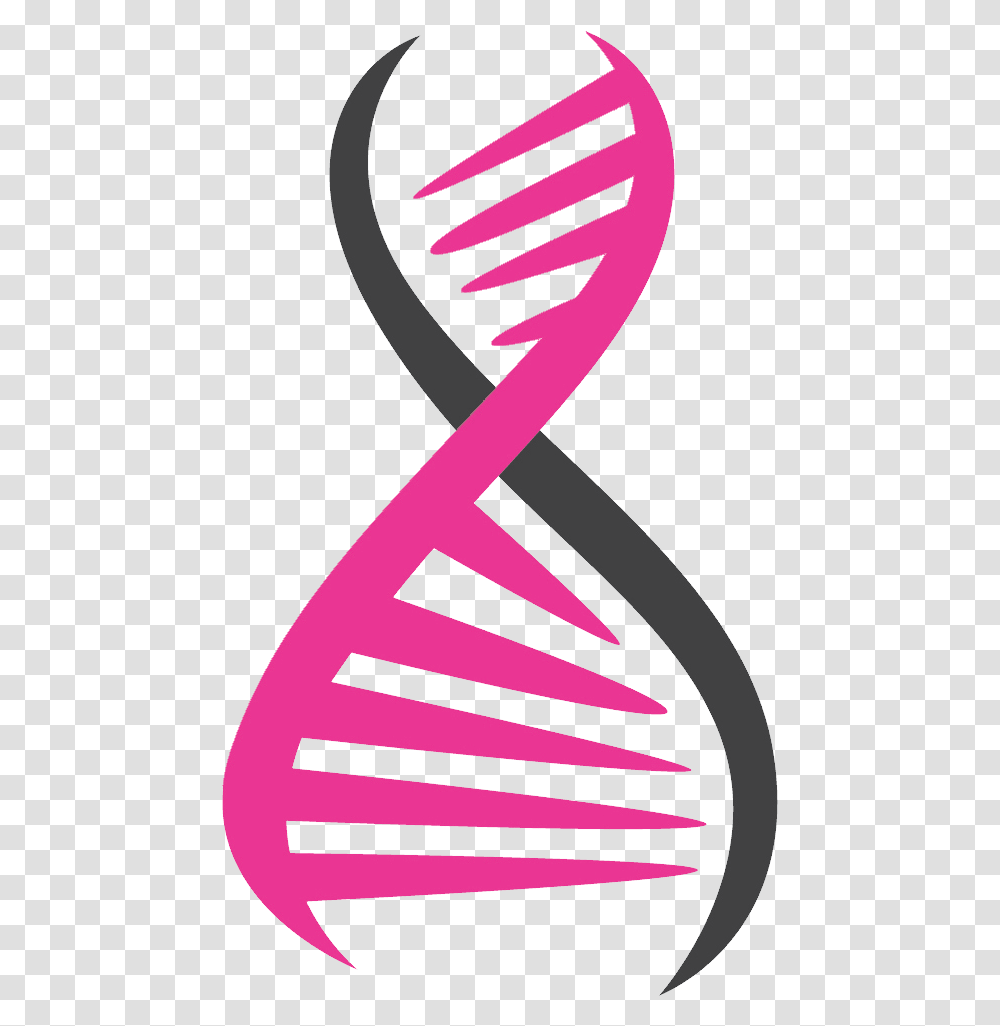 Dna Portable Network Graphics, Brush, Tool, Blade, Weapon Transparent Png