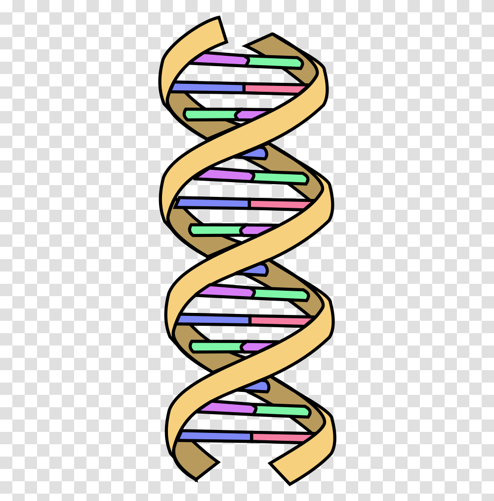 Dna Simple, Accessories, Jewelry, Cutlery, Dynamite Transparent Png