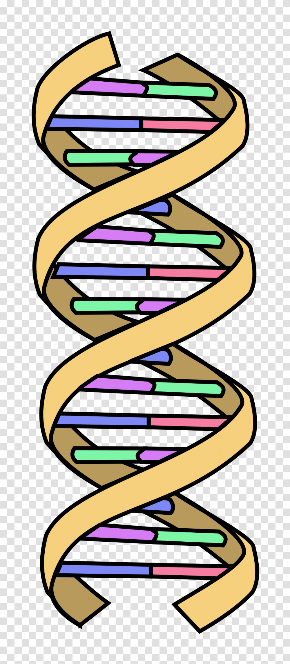 Dna Simple, Dynamite, Bomb, Weapon, Weaponry Transparent Png