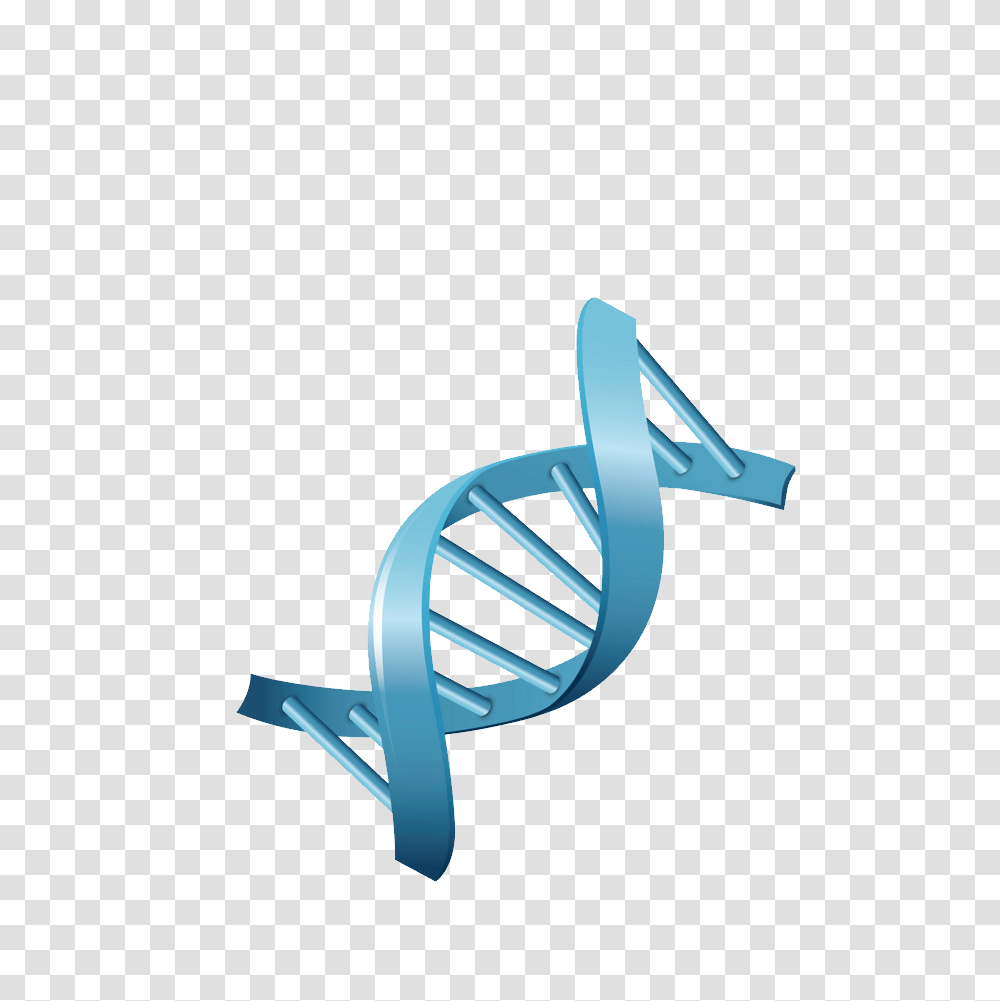 Dna, Staircase, Hammer, Tool, Spiral Transparent Png