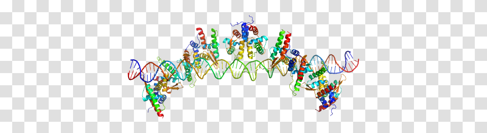 Dna Strand 1 S48 Dna Strand 2 Tubr Of The Pxo1 Graphic Design, Light, Neon Transparent Png