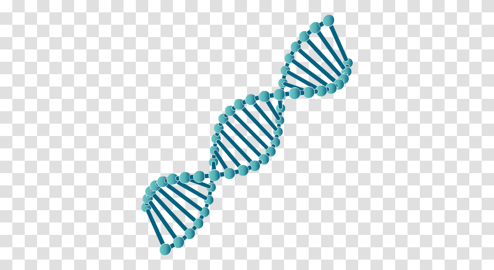 Dna Strand, Bead, Accessories, Accessory, Turquoise Transparent Png